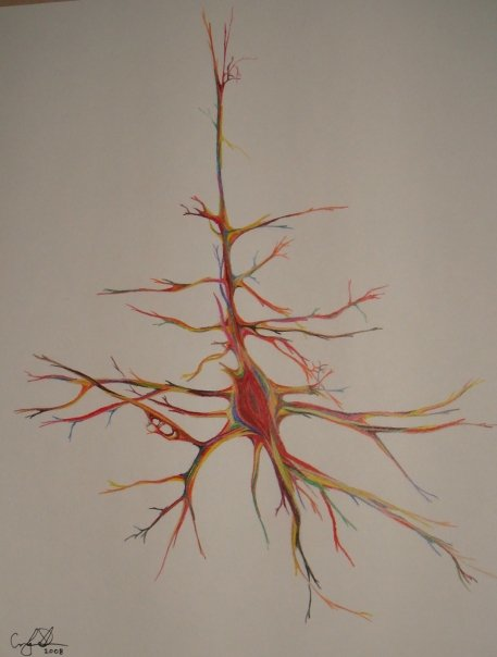 Neuron